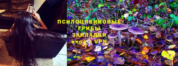 мескалин Осташков