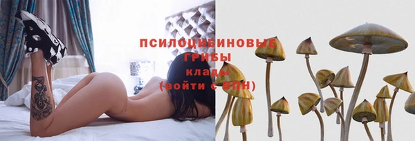 MESCALINE Осинники