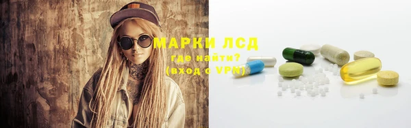 сатива Тихвин