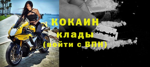 мдпв Няндома