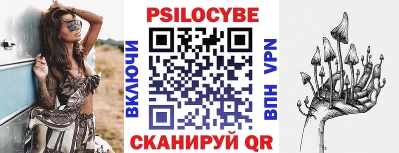 Галлюциногенные грибы GOLDEN TEACHER  цены   Ладушкин 